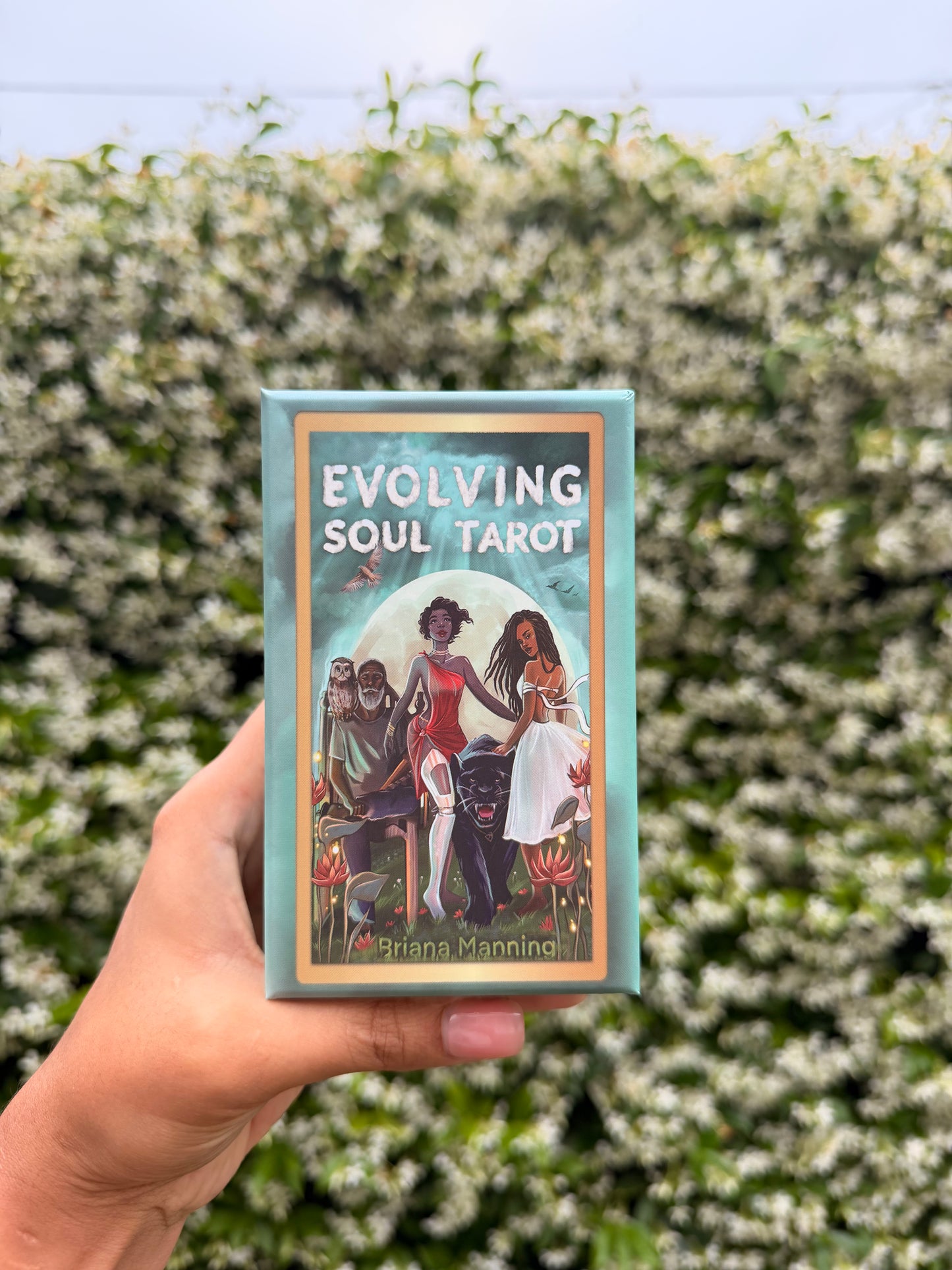 Evolving Soul Tarot
