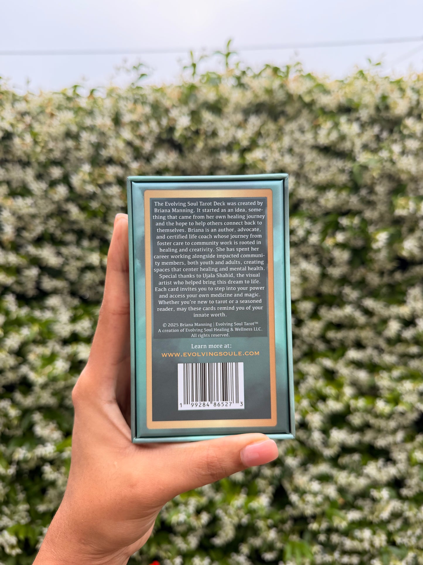 Evolving Soul Tarot
