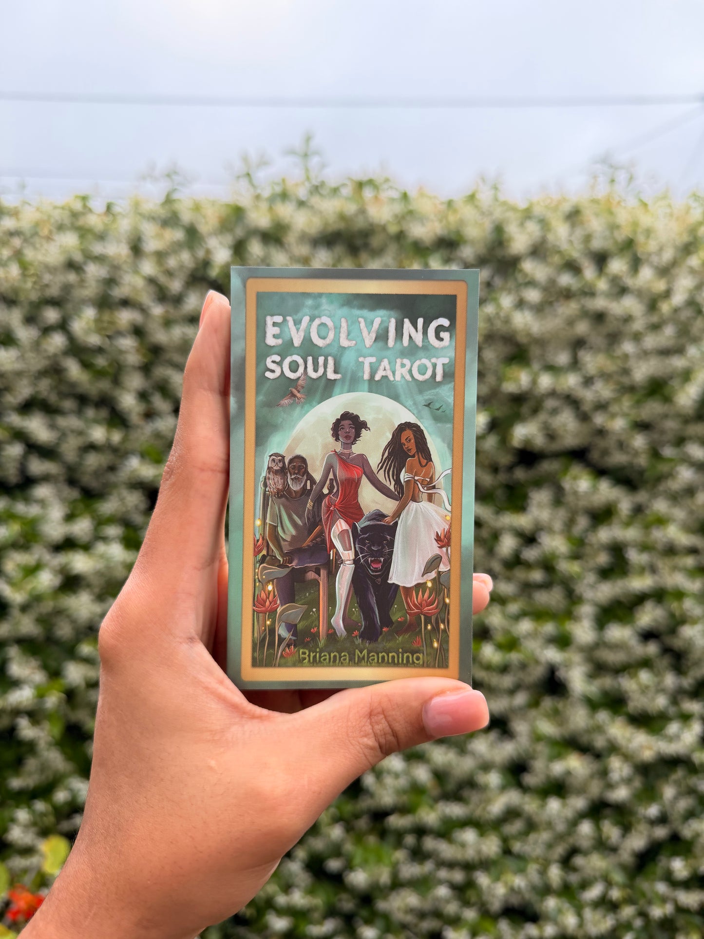 Evolving Soul Tarot