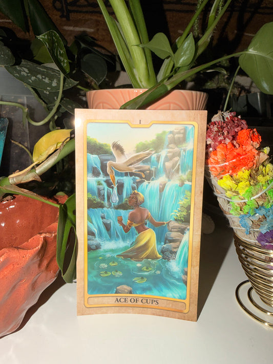 The Ace of Cups Sticker